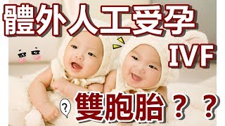 IVF會生雙胞胎的可能性嗎？【不孕症治療】 [upl. by Lleryd]