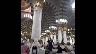 Madina masjidenabvi slowednaat slowednaats youtubeshorts explore [upl. by Darrelle33]