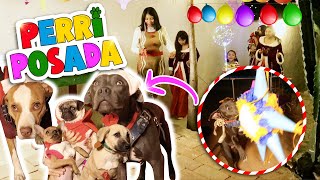 🐶PERRI POSADA 🐕 🐕❤️¡ROMPIERON SU PIÑATA🎊COMIERON DULCES🍡 🎶¡Con Mi Perrito Sabanero 🎶 CAMPAMENTO 🏠 [upl. by Amadus638]