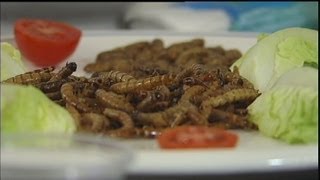 euronews science  Piuinsetti meno carne [upl. by Eenaffit]