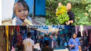 AJU DHERAI DIN KO BAAD MA KALIMPONG KO HAAT BAJAR GUMGAM GARDAI KALIMPONG VLOG Pemanu [upl. by Erik998]