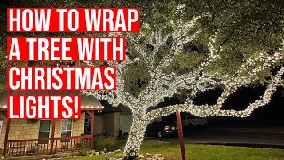 How to wrap a tree with Christmas lights [upl. by Tezzil470]