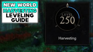 NEW WORLD HARVESTING LEVELING GUIDE [upl. by Aicirtal]