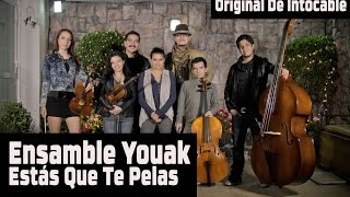 Intocable  Estás Que Te Pelas  Ensamble YOUAK COVER Fede Preisser [upl. by Katti]