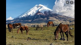 Most beautiful places in Ecuador travel adventure explore nature [upl. by Foscalina]