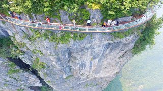 GLASS BRIDGE [upl. by Colleen261]