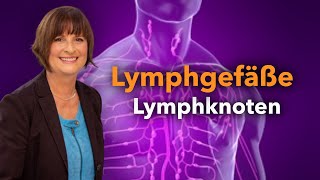 Lymphgefäße  Lymphknoten [upl. by Samtsirhc]