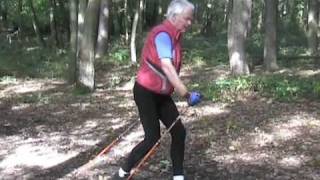 Nordic Walking Technik Anleitung Speed Power [upl. by Gay27]