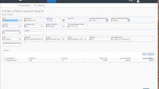 Concur Expensing Meal Costs via Per Diem [upl. by Mikes]