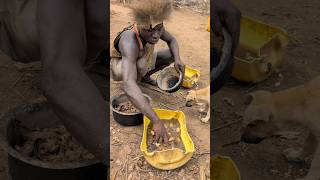 Wow😯its delicious Food Hadzabe tribe Cookies Meal for Dogs 🤤so delicious food culturebushmen [upl. by Danni]