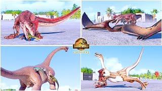 Deinonychus All Perfect Animations amp Interactions 🦖 Jurassic World Evolution 2  Dinosaurs [upl. by Eilis]