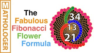 The fabulous Fibonacci flower formula [upl. by Donavon822]