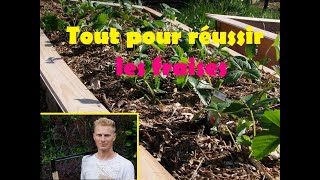 comment réussir les fraises [upl. by Ludba]