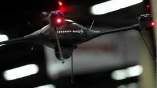 Procerus VTOL Flight System Demo [upl. by Navek]