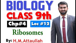 Ribosomes  Chapter 4  9th class Biology  Lec12 [upl. by Ysnap]