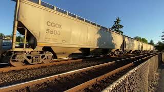 Northbound BNSF Empty Grain Train BLAST THROUGH the Steilacoom Ferry Terminal Railroad Crossing [upl. by Ileray]