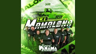 La Mamalona En Vivo [upl. by Mayrim]