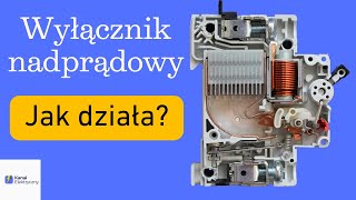 Wyłącznik nadprądowy budowa i zasada działania wyłącznik elektryk instalacjeelektryczne prąd [upl. by Musa573]