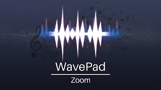 How to Zoom  WavePad Audio Editor Tutorial [upl. by Ailime]