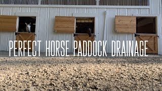 How to Have Perfect Horse Paddock Drainage [upl. by Nessie]