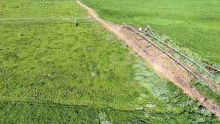 Condition report rural land Muswellbrook NSW 7824 [upl. by Ewens]