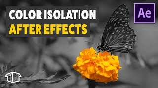 Color Isolation  Adobe After Effects tutorial [upl. by Dibb]