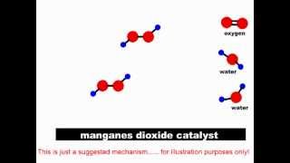 How catalysts work Heterolytic and Homolytic Catalysis [upl. by Lewan]