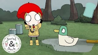 Sarah and Duck Official  20 mins  Full Episodes 4 [upl. by Atilal106]