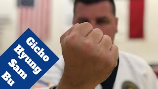 How to do Tang Soo Do Form 3 [upl. by Erlond]