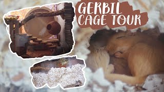 Gerbil Cage Tour 63g  What a Gerbil Enclosure Needs [upl. by Aihtennek]