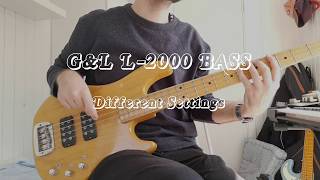 GampL L2000  12 Different Settings on 1 Bass [upl. by Noslen]