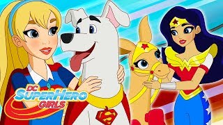 Pets Peeved Part 1  409  DC Super Hero Girls [upl. by Rowen]