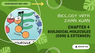 IGCSE Biology  Chapter 4  Biological Molecules [upl. by Reddy546]