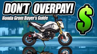 Ultimate Honda Grom Buyers Guide [upl. by Annaed]