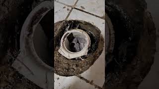 How NOT to Repair a Rusted or Broken Toilet Flange [upl. by Sorensen]