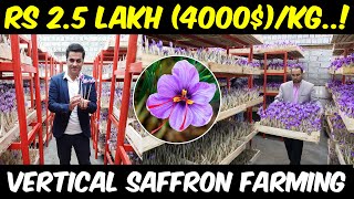 Vertical Saffron Farming  Indoor Hydroponic Saffron Cultivation  How to grow Saffron [upl. by Shalom462]