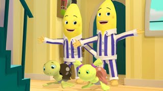 The Bananas Adopt Turtles  Bananas in Pyjamas Season 1  Full Episodes  Bananas in Pyjamas [upl. by Apul433]