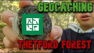 Geocaching at Thetford Forest GOT LOST [upl. by Giannini724]