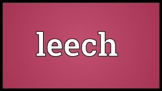 Leech Meaning [upl. by Ailegave330]