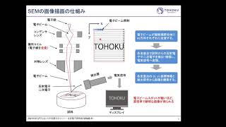 設備NW 分析装置初歩セミナー SEMの原理 [upl. by Mallin]