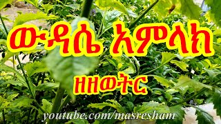 ውዳሴ አምላክ ዘዘወትር  Wudase Amlak Zezewetir [upl. by Khalid]