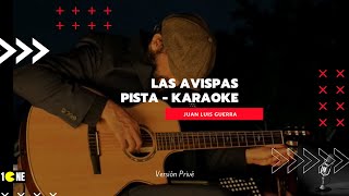 Pista  Las avispas  Versión Privé Juan Luis Guerra [upl. by Erminna598]