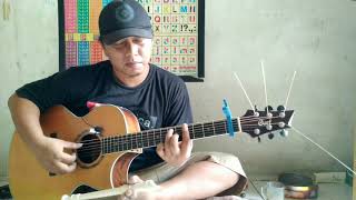 My Heart Will Go On  Celine Dion fingerstyle cover [upl. by Aninad]