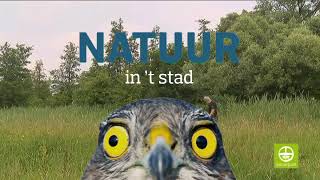 Ontdek de natuur in t stad Oude Landen [upl. by Haland]