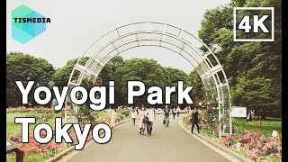 【4K】🇯🇵🗼Walking around Yoyogi Park 代々木公園 in Shibuya City🎧 Tokyo Japan [upl. by Eliot]