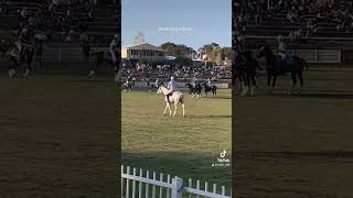 PolocrossePerth Royal Show 2128 September2024Western Australia [upl. by Atinat435]