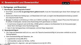 Zivilprozessrecht – Folge 08 Beweislast Beweismaß Beweislastumkehr Anscheinsbeweis [upl. by Catto767]