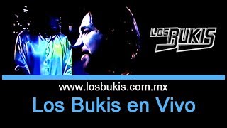 Los Bukis en Vivo  Quiereme  1994  Los Bukis Oficial [upl. by Delsman]