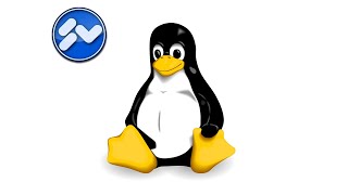 Linux Windows 10 als VM installieren [upl. by Ikkin]