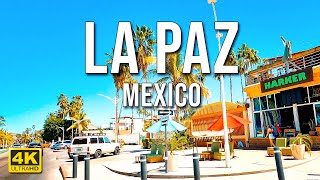 Driving Around La Paz  Baja California Sur  Mexico 4K [upl. by Assirram]